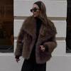 Aliexpress Roupa de Pele Feminina Nova Outono e Inverno Peluda Tingida Pele de Raposa Roupa de Pele Fashionável Quente Roupa de Pele