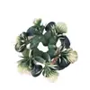 Guirnalda de Eucalipto Artificial Decoración de Puerta Hoja de Dinero Retro Anillo de Hierba de Hoja de Eucalipto Colgante de Flor Artificial de Amazon Decoración