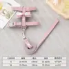 Arnés para Mascotas con Correa, Estilo Falda JK, Correa Anti-Escape para Gatos, Falda de Encaje, Estilo Dulce de Princesa, Modelo de Primavera y Verano, Correa para Gatos Pequeños