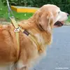 Corrente de Aço Resistente para Cães Guia de Corrente Estendida Corrente para Amarrar Cão Cão Grande Cão Pequeno Médio Corda Anti-Mordida para Amarrar Cão