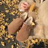 Estilo Parisiense~Novo Estilo Inverno 2026 Sapatos Individuais de Couro e Pele com Forro de Lã Quente e Sola Grossa, Bico Largo, Sapatos Peludos, Sapatos Birkenstock para Mulheres