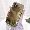 Aplicável à capa de celular de animal engraçada e fofa para iPhone 15