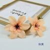 Simulación Color Otoñal Cabeza de Orquídea Platos de Restaurante Flor Decorativa Caja de Regalo Flor Decorativa Dintel de Puerta Adorno Arreglo Floral