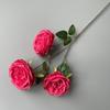 Rosas Simuladas Decoración de Arco para el Salón de Banquetes Austin Flor Artificial Flor de Boda Rosa de 3 Cabezas Rosas