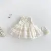 Dianxi Roupa Térmica Grossa com Forro de Fleece para Bebês e Crianças Pequenas Jaqueta com Bordado de Renda para Meninas Colete de Inverno Saia de Gaze Conjunto de Três Peças