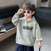 Sudadera para Niños Otoño 2026 Estilo Nuevo Top de Manga Larga de Otoño para Niños Ropa con Capucha Bordada para Bebé Estilo Primavera/Otoño Niño