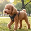 Produtos Mais Vendidos da Amazon em Couro Sintético PU, Coleira Anti-Mordida para Cães com Rebites em Estilo Punk, Venda por Atacado de Fábrica em Estoque