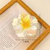 Presilha de Cabelo Colorida de Frangipani Mais Vendida no Exterior Fashion Prendedor de Garra de Flor Garra Lateral Feminina Retrô Garra do Meio Parte de Trás da Cabeça