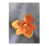 Elegante Flor de Novia Estilo Flor para el Cabello Flor de Whelan 3D Pasador para el Cabello Pinza de Borde Pinza para el Cabello Foto Fotografía Adorno para la Cabeza