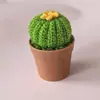Plantas Suculentas de Crochê Feitas à Mão, Plantas de Cacto em Vasos, Pequenas Plantas Verdes para Mesas, Plantas de Lã para Venda por Atacado, Cacto