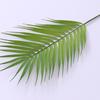 Simulação de folha de girassol de cauda solta planta verde única folha de palmeira de plástico folha de coco decoração de casa acessórios de arranjo de flores