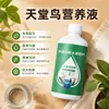 Solución nutritiva especial para plantas de ave del paraíso, diseñada para abordar problemas como hojas rizadas, amarillentas y agrietadas; fertilizante para macetas de interior para plantas ornamentales