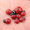 Mantimentos Japoneses Joaninha Sete Estrelas Micro Bonsai Suculenta Ornamentos Ornamentos de Jardim Micro Paisagem Ornamentos de Jardim em Vaso