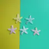 Dibujos Animados Lindos Coloridos Lentejuelas Transparentes Tamaño Mediano Estrella de Mar DIY Pasador para el Cabello Accesorios para el Cabello Funda de Teléfono Accesorios de Decoración con Pegamento de Crema