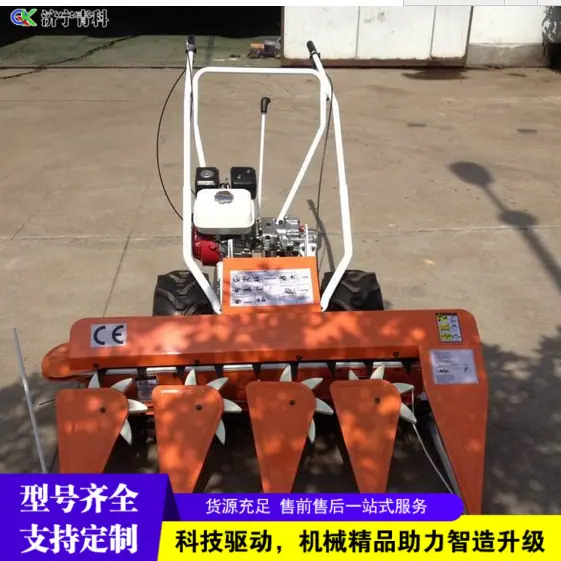 QQ图片20151117104345