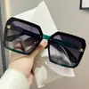 Gafas de Sol Polarizadas de Moda, Protección Solar, Protección Ultravioleta, Conducción de Gama Alta, Gafas de Sol de Marco Grande, Fotografía Callejera, Visores Solares de Moda