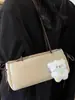 Bolsa de Ombro e Bolsa de Braço Casuais Femininas Tendência e Estilosa para o Outono de 2025