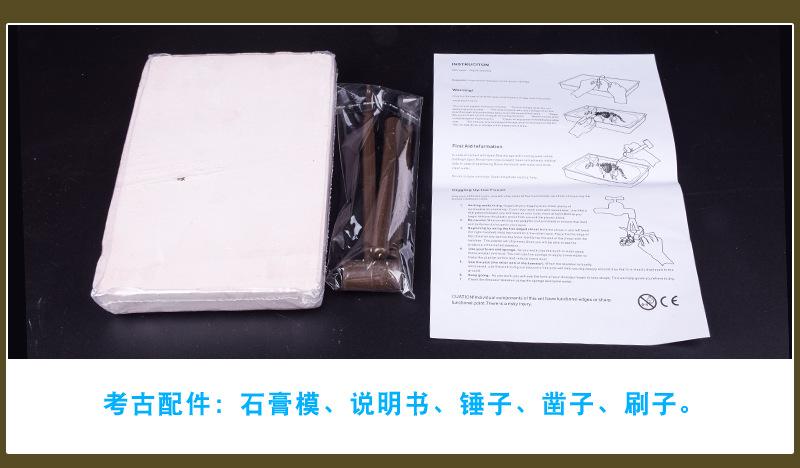 挖掘恐龙详情图9