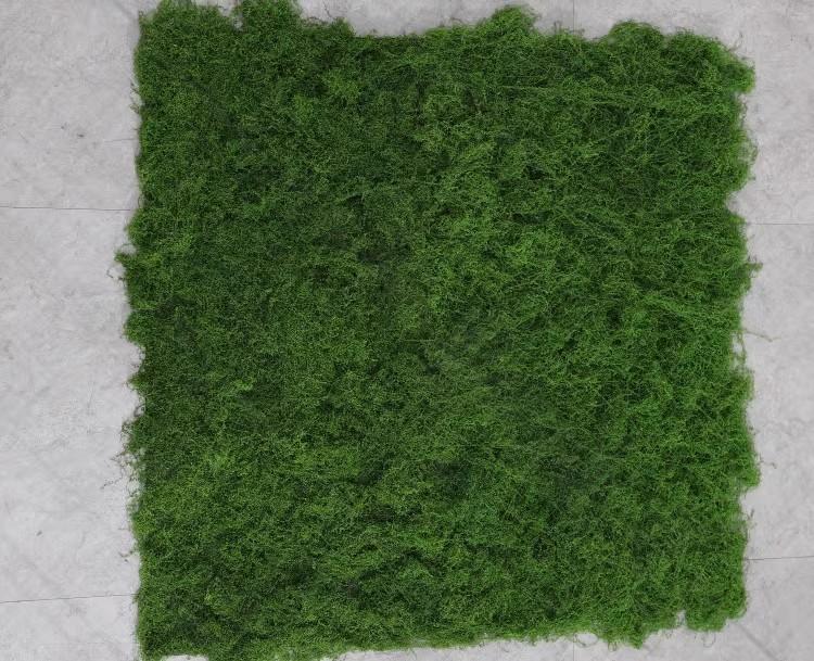 O1CN01wVZxPD1U7lb3470HR_!!2118