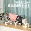 Ropa Nueva Cálida para Mascotas Otoño e Invierno Marca de Moda Ropa para Perros Algodón Grueso para Perros Ropa Linda para Mascotas Sin Ataduras