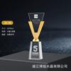 Nuevo Trofeo de Cristal Impresión 3D Material Nuevo Creativo Medalla Hecha a Medida Impresión a Color Reunión Anual Corporativa Premio de Reconocimiento Destacado