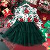 Amazon 2024 outono e inverno Natal novo roupas de menina roupas de festa vestido de malha com estampa de rosa de manga comprida