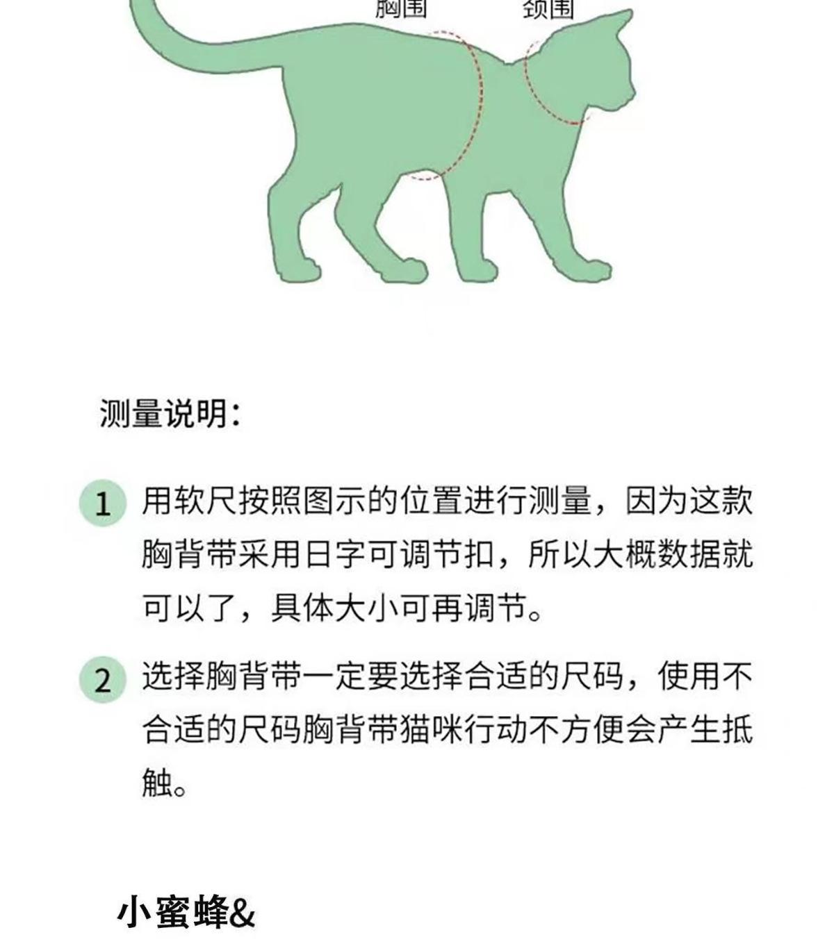小蜜蜂_02.jpg