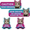 Pegatina Magnética Personalizada para Parachoques de Coche Reflectante Gatito de Dibujos Animados Bolsa Emocional Pegatina Magnética de Panal para Conductor Novato