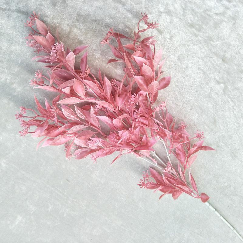 水芙蓉2号深粉