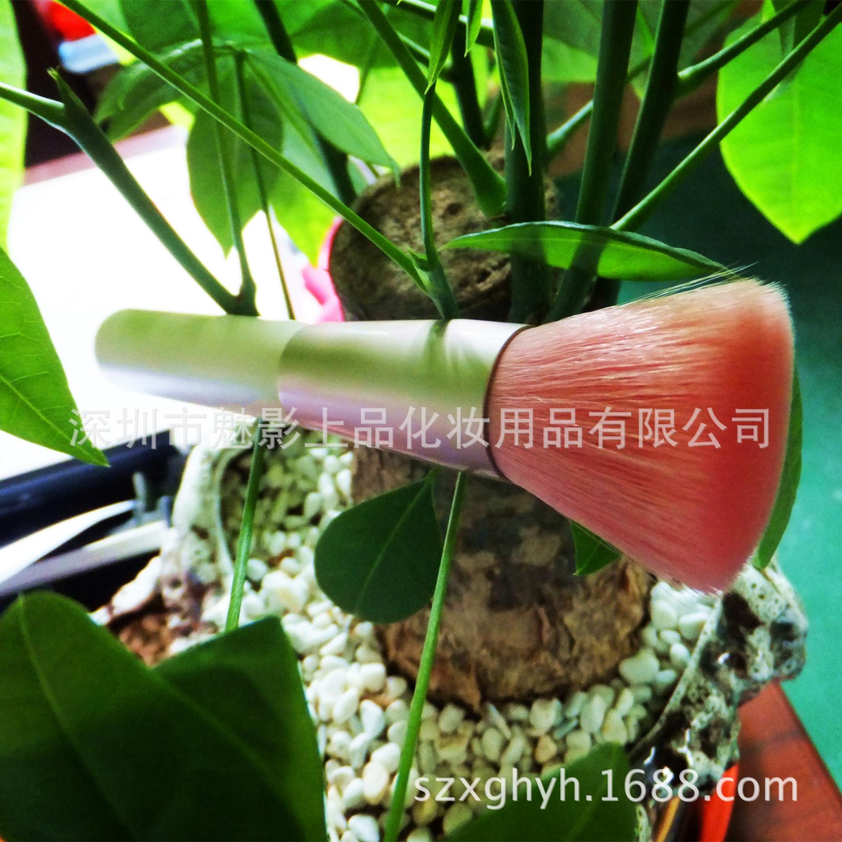 DSCF0228