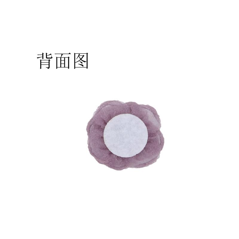 背面图