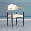 Cadeira de Jantar de Luxo Leve para Uso Doméstico com Encosto, Mesa e Cadeiras de Jantar Modernas Minimalistas para Lazer, Adequado para Cafeteria e Restaurante da Moda