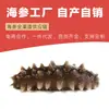 Fábrica de Pepino-do-Mar Pronto para Comer Atacado Pepino-do-Mar Liao Produtos Não Secos Fabricante Processamento Personalizado Ginseng Oem Fast Food