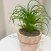 Plantas Suculentas Simuladas de Ladrillo Rojo Dongmang en Maceta para Decoración de Interiores del Hogar, Decoraciones de Escritorio de Oficina, Múltiples Opciones Disponibles Directamente del Fabricante