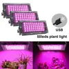 Popular Transfronterizo Paquete de 4/3/2/1 de 50 Perlas Lámpara de Planta de Espectro Completo Luz de Relleno Temu Bajo Voltaje 5V Luz de Relleno para Plantas