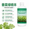 Spray Verde Coentro, um Fertilizante Especial Concentrado Solúvel em Água para Coentro, Torna as Folhas Mais Espessas e Verdes, Promove o Crescimento Rápido das Mudas e Aumenta o Rendimento