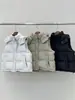 Colete de algodão com capuz estilo coreano, moda petite, estilo curto, jaqueta de design casual para outono e inverno 2026, moderno