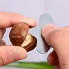 Recién llegado: 500g Nueces de Macadamia Hawaianas, Frutos Secos, Nueces y Semillas, Snacks Navideños, Snacks para Mujeres Embarazadas, Sabor Original a Leche, En bolsa y en lata