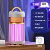 Lámpara antimosquitos eléctrica silenciosa para exteriores, recargable, para uso doméstico y con inhalación de descargas eléctricas.