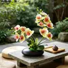 Película Impresa en 3D Nueva 12 Flores Phalaenopsis Bonsái Flor Fábrica Suministro Directo Moda Decoración del Hogar