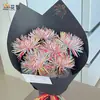 Nuevo Estilo de Papel con Forma de Fuegos Artificiales de Huaying, Papel de Modelado Colorido y Rígido de Gama Alta, Materiales Creativos para Empaque de Ramos