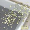 Atacado Celebridade da Internet Mini Zircônia Marquise Acessórios para Unhas Flat-Bottomed Chanfrado Colorido Decorações de Unhas