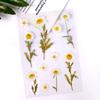 Calcomanías Transparentes de Flores y Plantas Pegamento Cristal Hecho a Mano Paquete de Materiales DIY Calcomanías para Carcasa de Teléfono Móvil Artículos Decorativos Terminados a