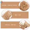 Nuevo Modelo Pequeño Clip para el Pelo Qiyue para Recogido en la Parte Trasera de la Cabeza, Pinza de Tiburón Color Gelatina, Pasador de Gama Alta, Accesorios para el Cabello para Mujer al por Mayor