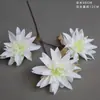 Materiales Florales Blancos para Bodas, Flores de Seda, Decoraciones de Techo para Salones de Bodas, Flores Artificiales, Flores para Arcos, Arreglos Florales, Arte Floral