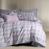 Conjunto de Cuatro Piezas de Polar Térmico Volcán de Nueva Generación 100% Algodón Otoño e Invierno Funda de Edredón Térmica con Diseño de Botones Ropa de Cama 100% Algodón