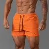2024 Amazon pantalones cortos deportivos para hombre de secado rápido para playa de tres puntos pantalones de marca de moda para baloncesto fabricantes venta al por mayor