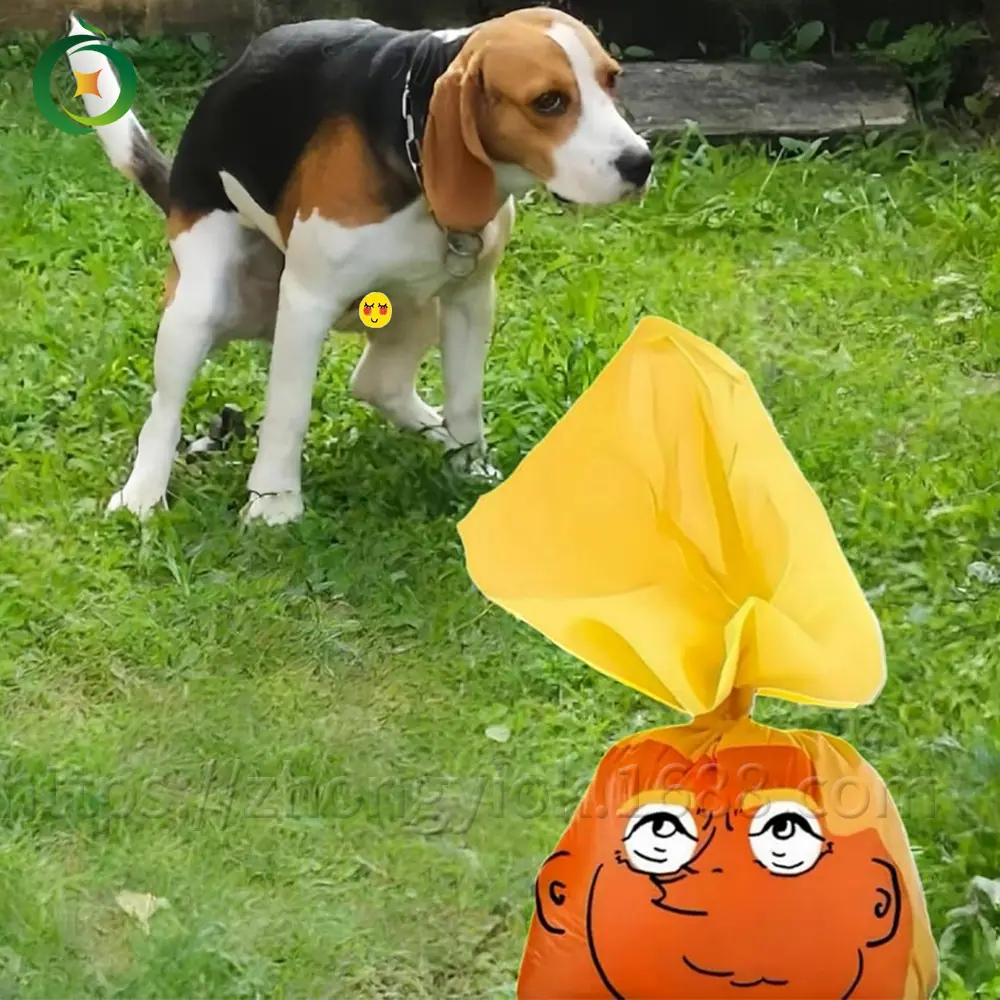 06.jpg