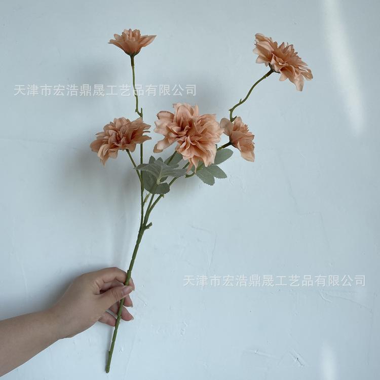 微信图片_202208161554354_副本