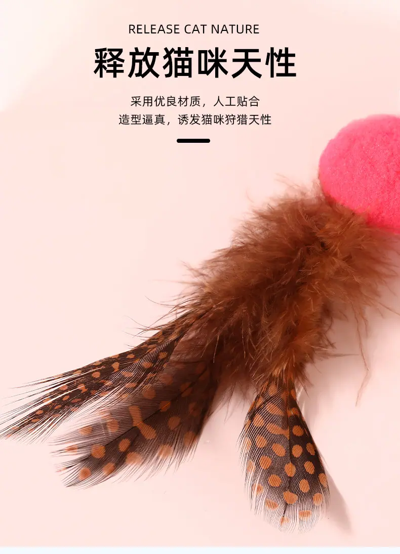 猫玩具-恢复的_04.jpg
